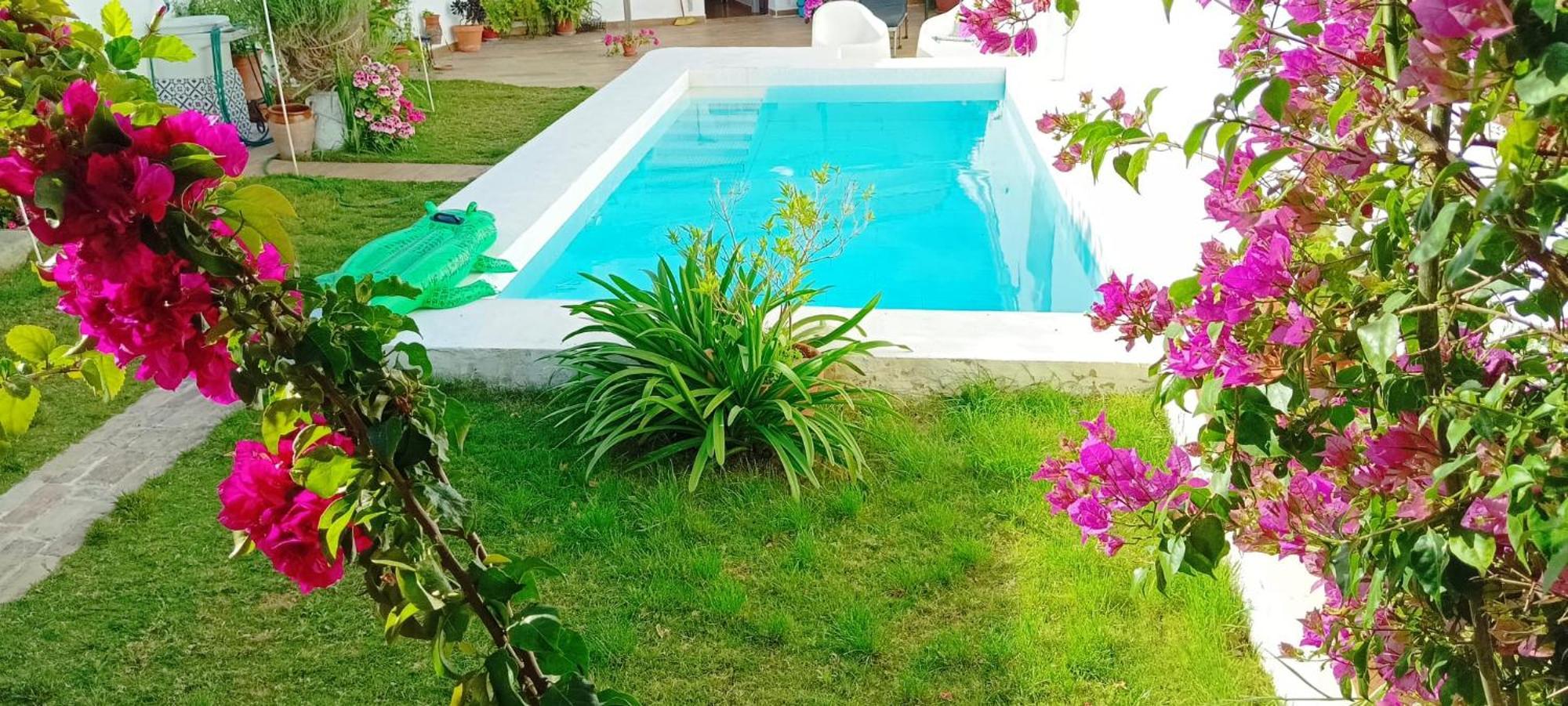 Casa Con Piscina Cerca De Sevilla Carrion de Los Cespedes المظهر الخارجي الصورة